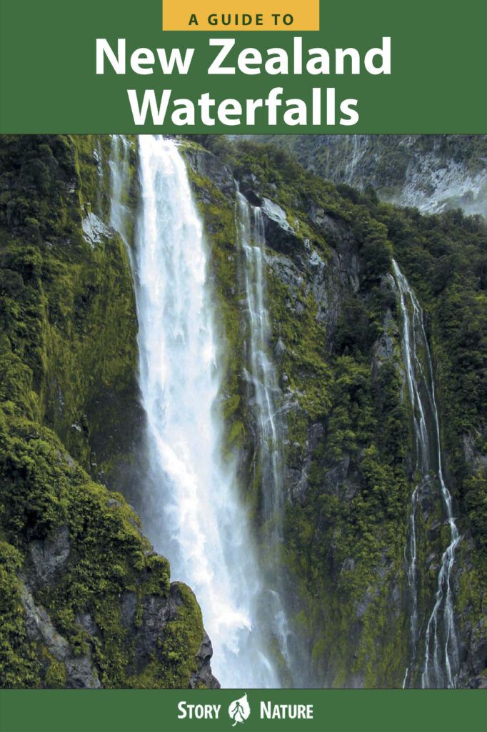 A website seeking to publicize my book about New Zealand waterfalls quickly evolved into my ultimate side hustle blogging about waterfalls